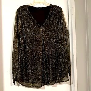 Zoey & Leelo long sleeve sheer top for women with built in lining. Sz 2X